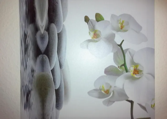 מלון Stadthotel 3*